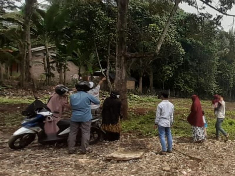 First slide