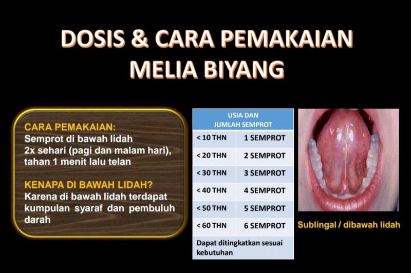 First slide