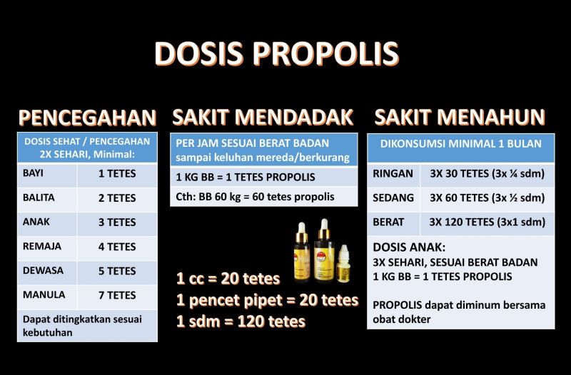 First slide