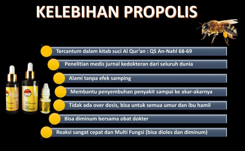 First slide