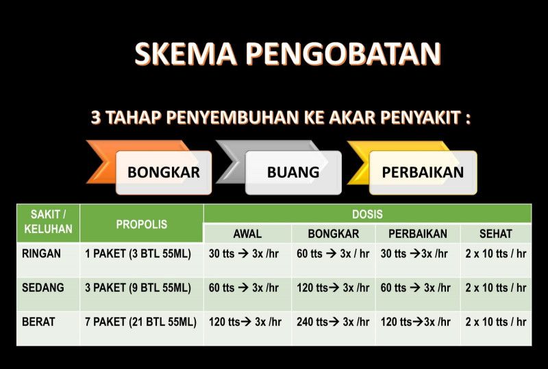 First slide