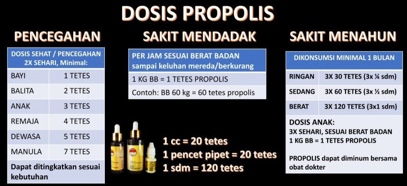 First slide